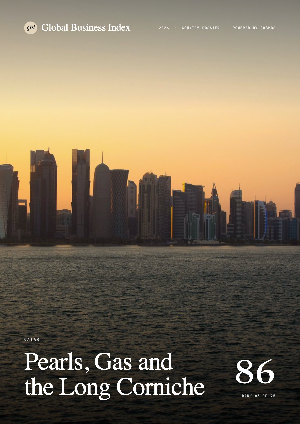 Cover of the Qatar dossier
